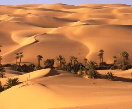 Travel gear including hat, shoes, sunscreen, and water bottle prepared for a desert safari in Bahariya Oasis with Heart Egypt Tours.
