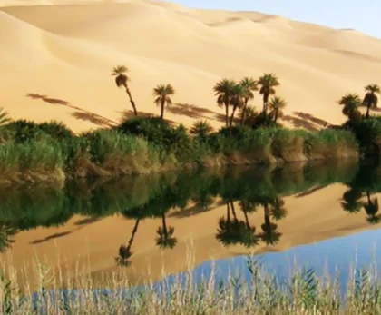Palm groves and sand dunes at sunset in Bahariya Oasis, Egypt, with travelers exploring on a guided Heart Egypt Tours trip.