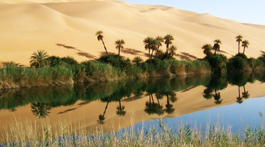 Palm groves and sand dunes at sunset in Bahariya Oasis, Egypt, with travelers exploring on a guided Heart Egypt Tours trip.
